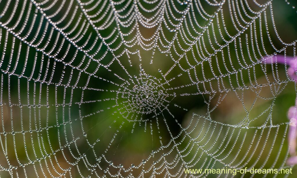 Spider-Web-Dream-Meaning